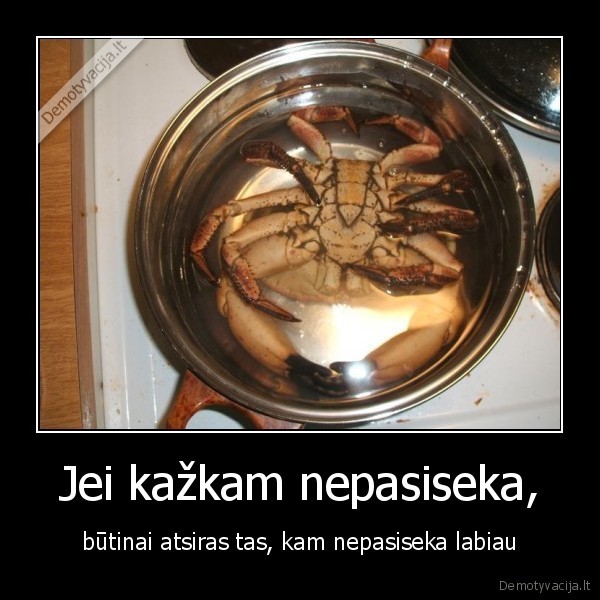 krabas,lizdeika,lietuva,euroball,krepsinis,puodas
