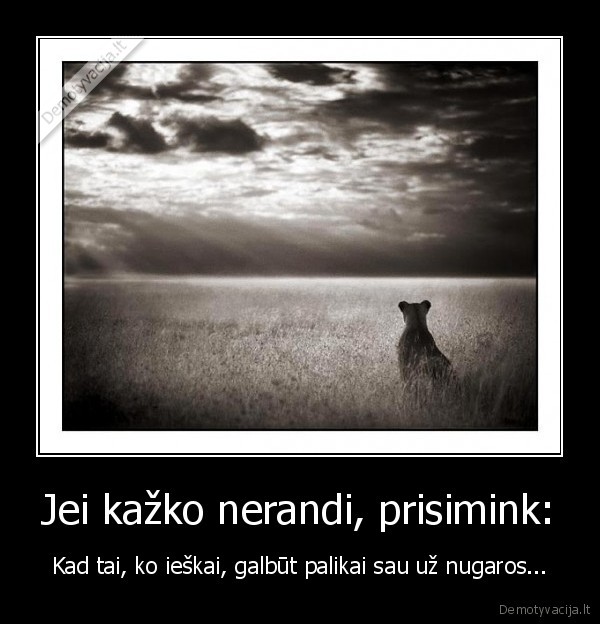 Jei kažko nerandi, prisimink: