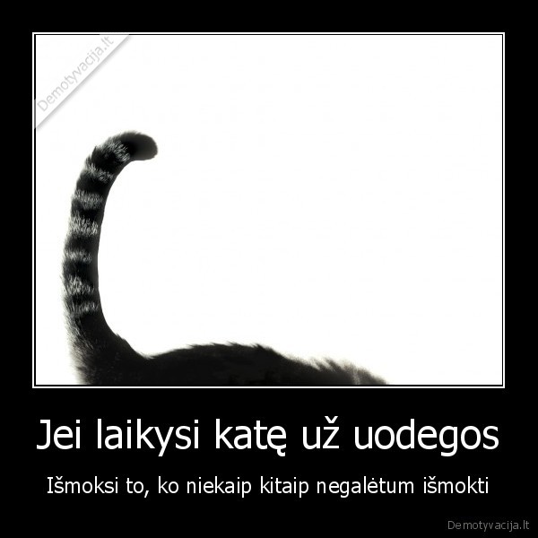 pamoka,patirtis