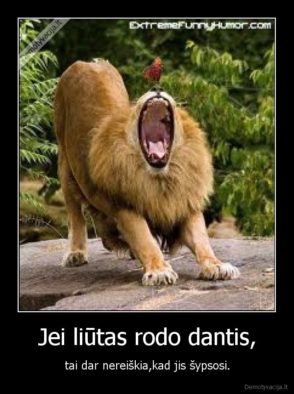 tigras,rrrr