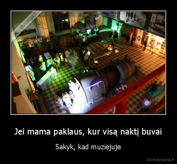 muzieju, naktis,muziejus