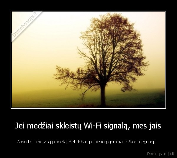 deguonis,medziai,medziu, nauda,nemokamas, wi, fi