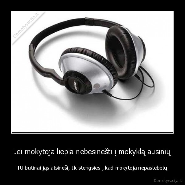 ausines,mokyta
