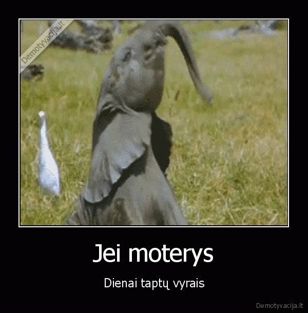 penis,straubliukas,drambliukas