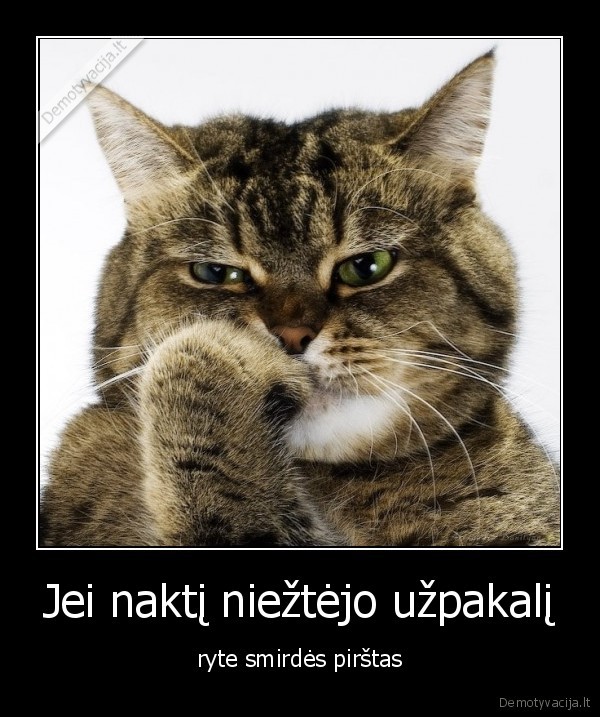 uzpakalis,smirda