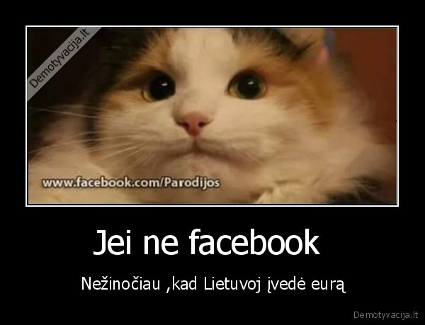 facebook,lietuva,euras
