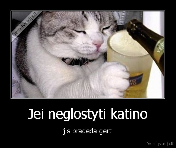 katinas