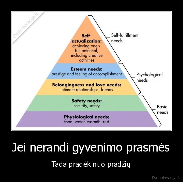 gyvenimas, ne, po, akmenimis, randasi