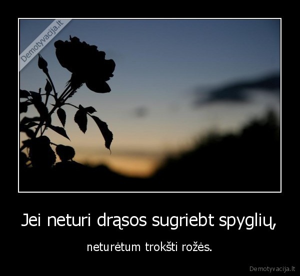 Jei neturi drąsos sugriebt spyglių,