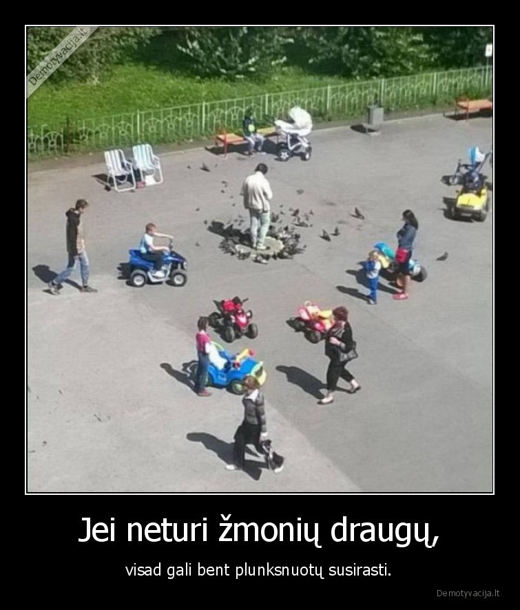 draugai,pauksciai,balandis