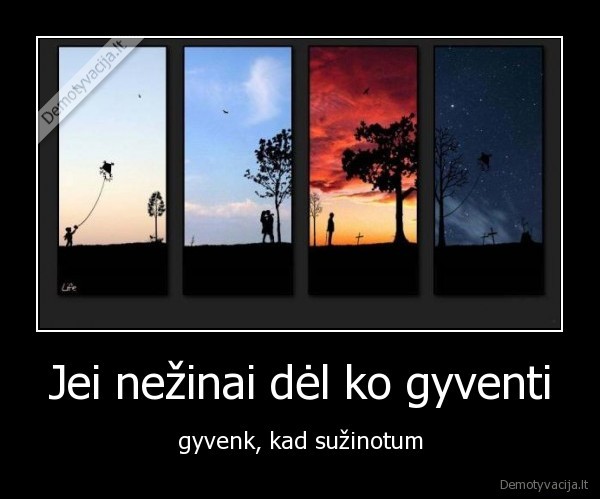 Jei nežinai dėl ko gyventi