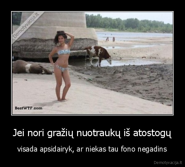 karve