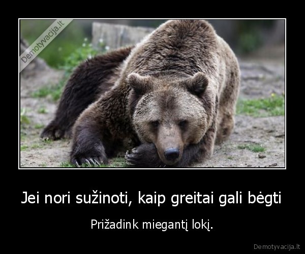 lokys,begti,greitai