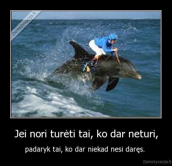 delfinas, jojikas