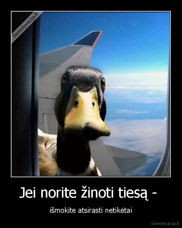 tiesa,melas,netiketai