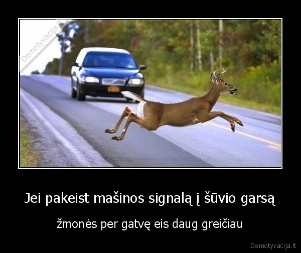zmones,signalas,gatve