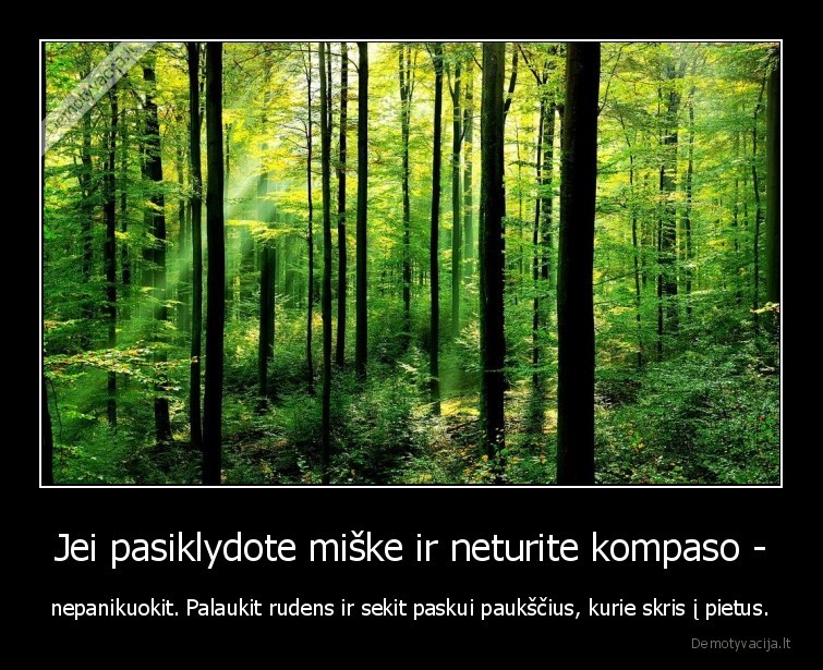 patarimas,pasiklydo