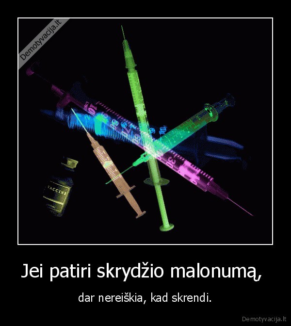 Jei patiri skrydžio malonumą, 