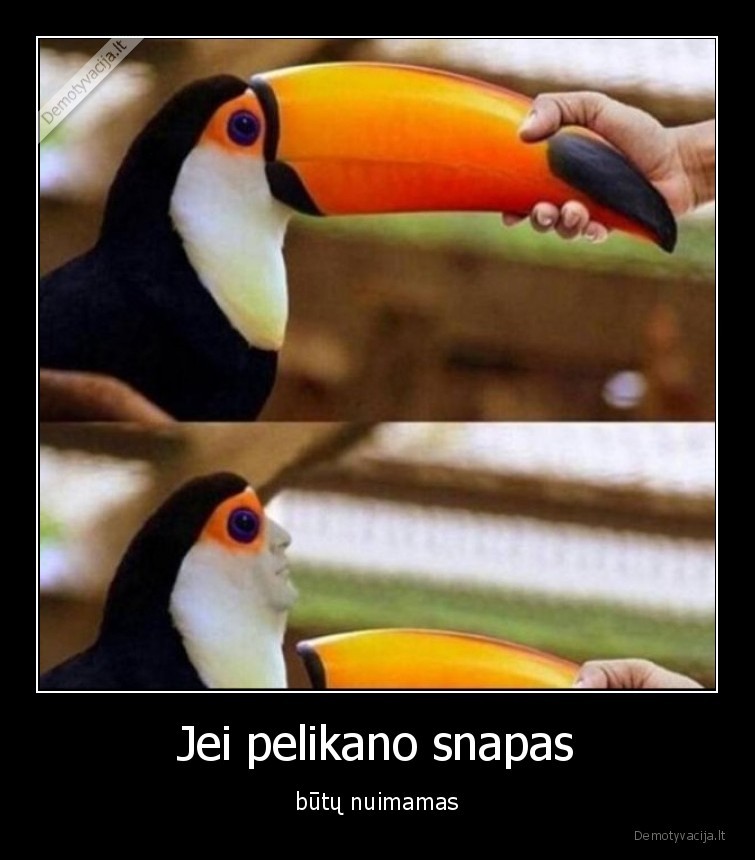 pelikanas,snapas,nuimamamas