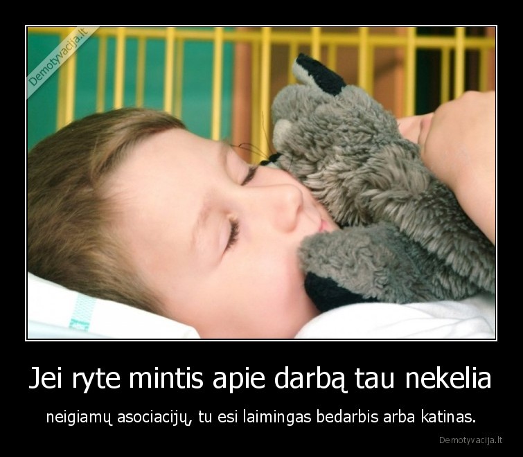 bedarbis,katinas,laimingas