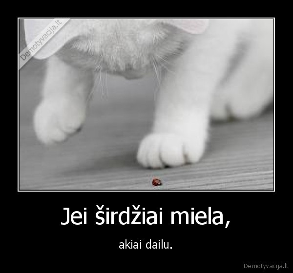 Jei širdžiai miela,
