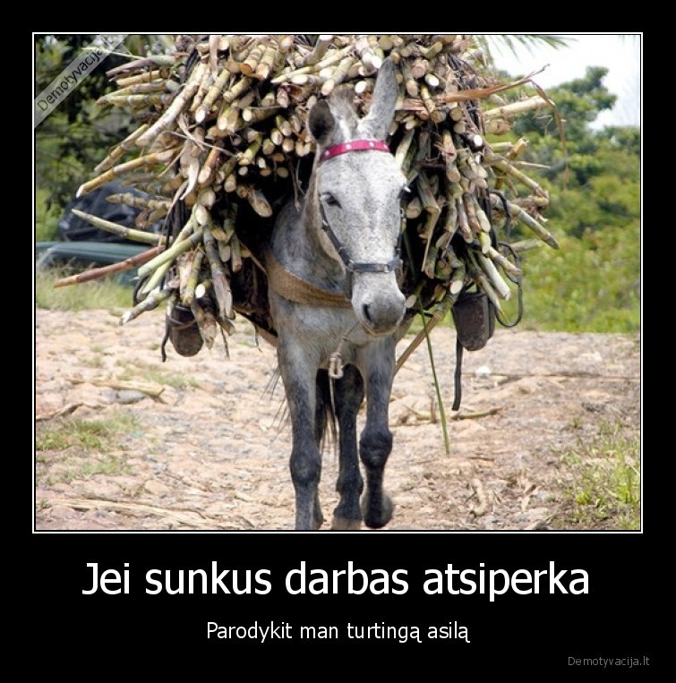 sunkiai, dirba