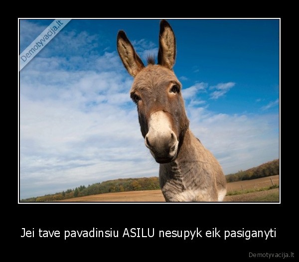Jei tave pavadinsiu ASILU nesupyk eik pasiganyti
