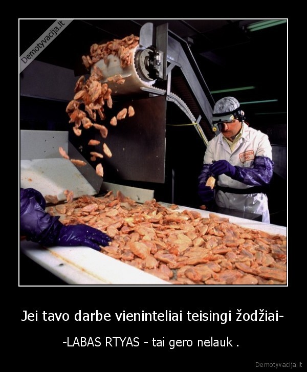 Jei tavo darbe vieninteliai teisingi žodžiai-