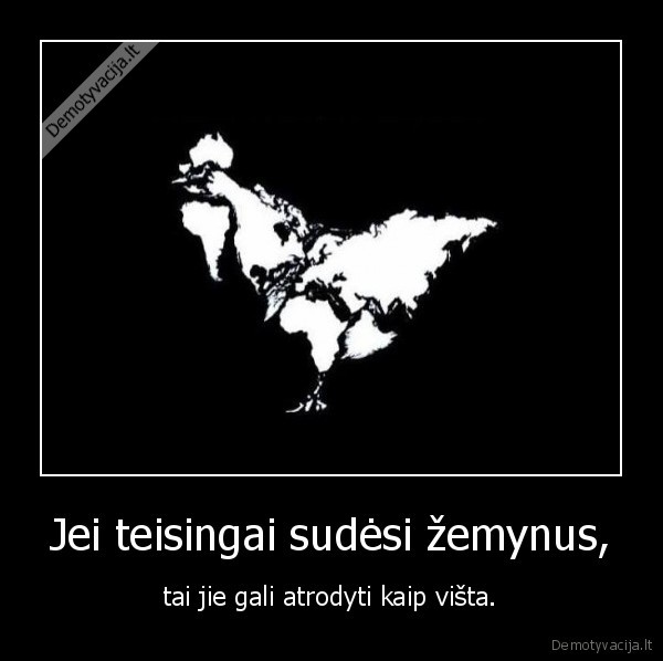 zemynai,vista