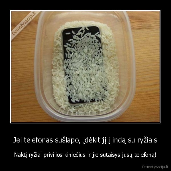 suslapes, telefonas,ryziai,kinieciai
