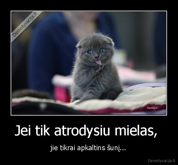 Jei tik atrodysiu mielas, 