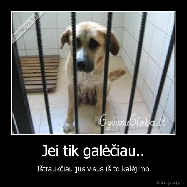 prieglauda