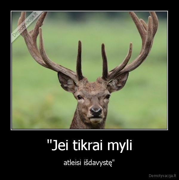 gaidys,atleisti,isdavyste