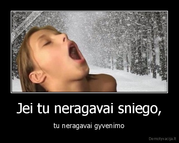 sniegas,ragauti