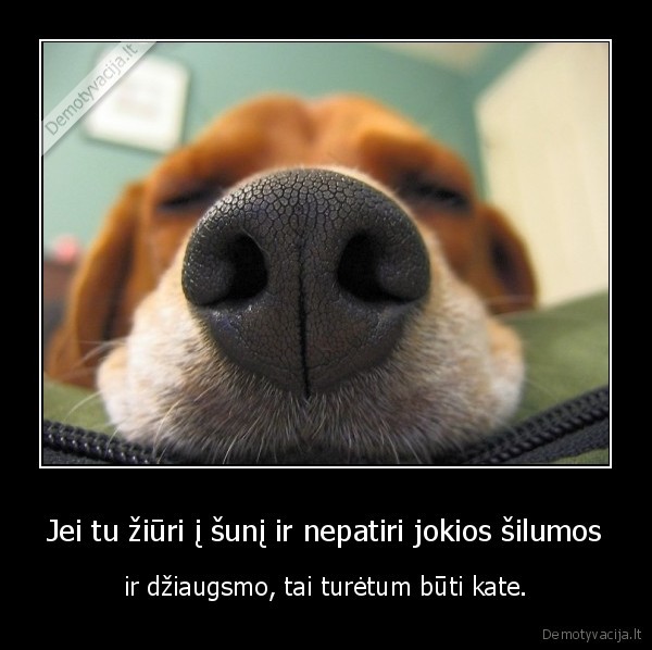 siluma,dziaugsmas,suo