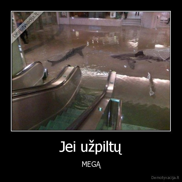 pc, mega,rykliai
