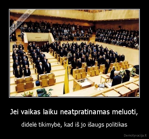 politika, sudas