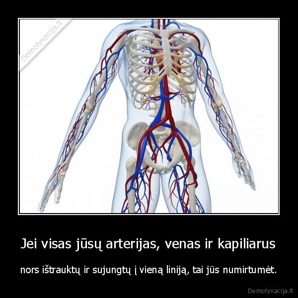 mirtis,faktai,idomus, faktai