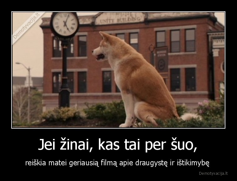 haciko,filmas,suo,istikimybe,draugyste