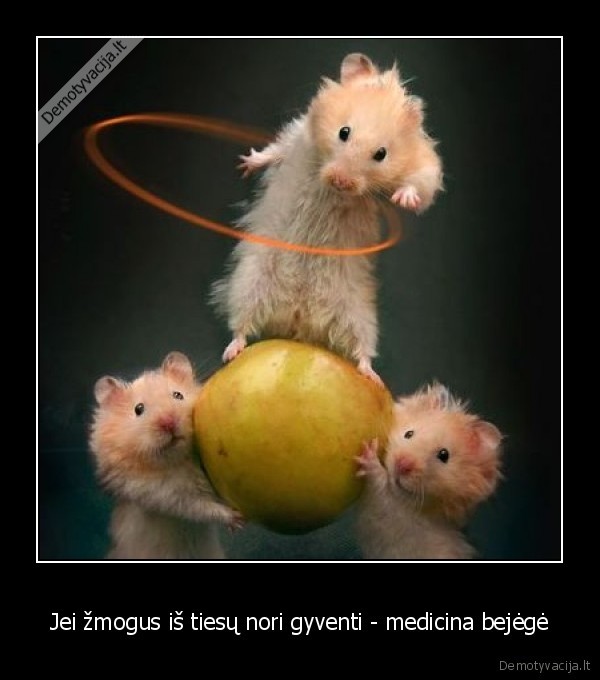 Jei žmogus iš tiesų nori gyventi - medicina bejėgė