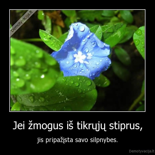zmogus,silpnybe,stiprus