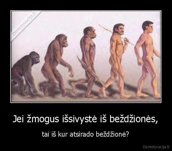 Jei žmogus išsivystė iš beždžionės,