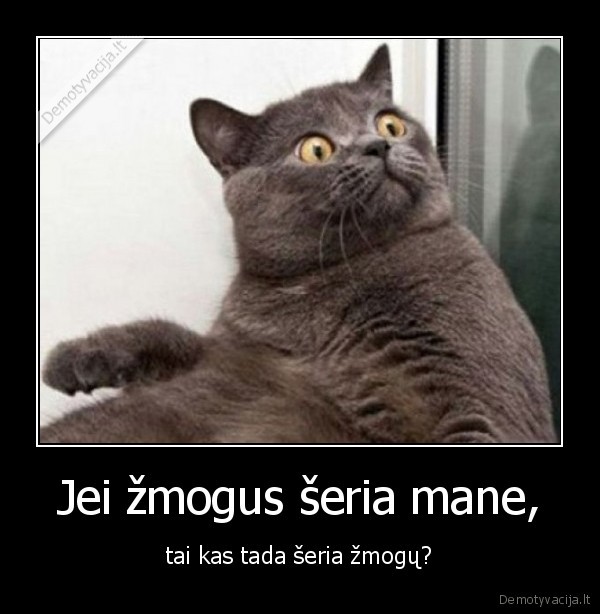 zmogus,katinas