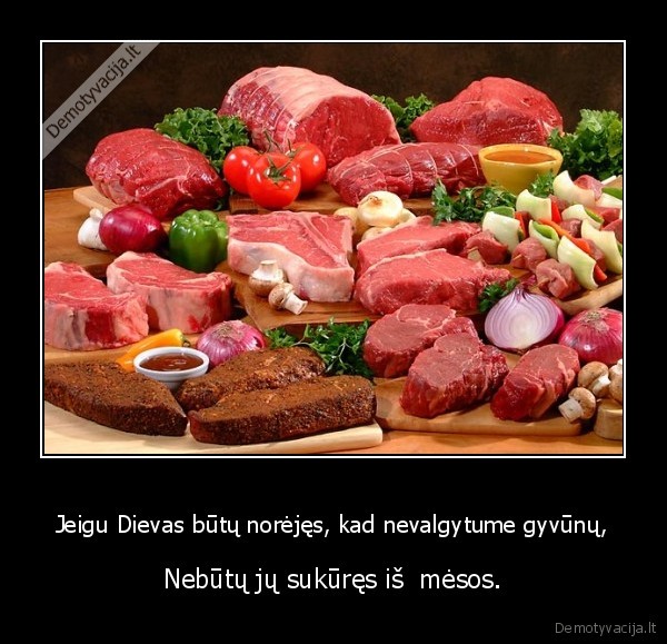 gelezine, logika