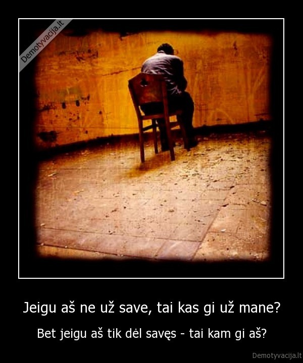 kam,kodel,kur