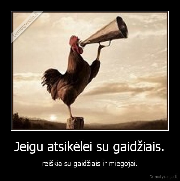 gaidziai,miegas