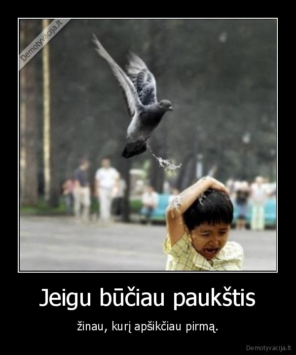 Jeigu būčiau paukštis