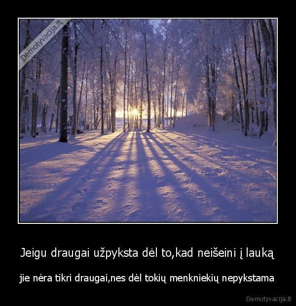 draugai,laukas