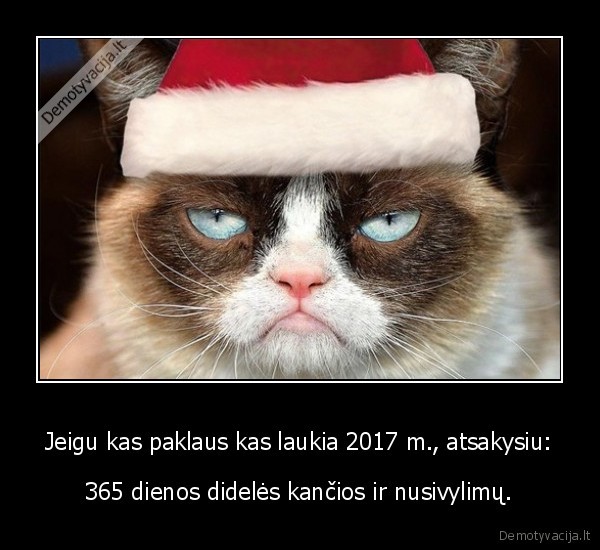 2017, metai,nauji, metai,didele, kancia,nusivylimai