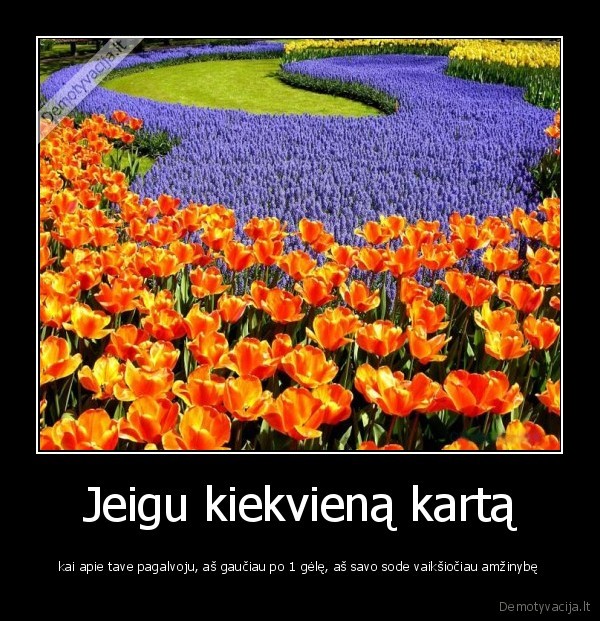 geles,jausmai